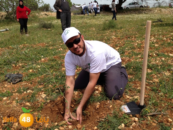 ludandyaffazaitoon (27).JPG